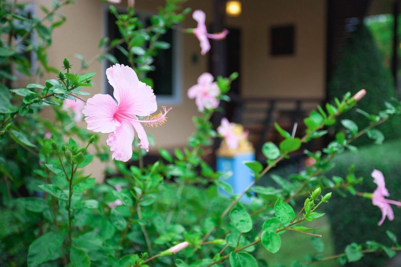 Siray Green Resort Phuket Exterior photo